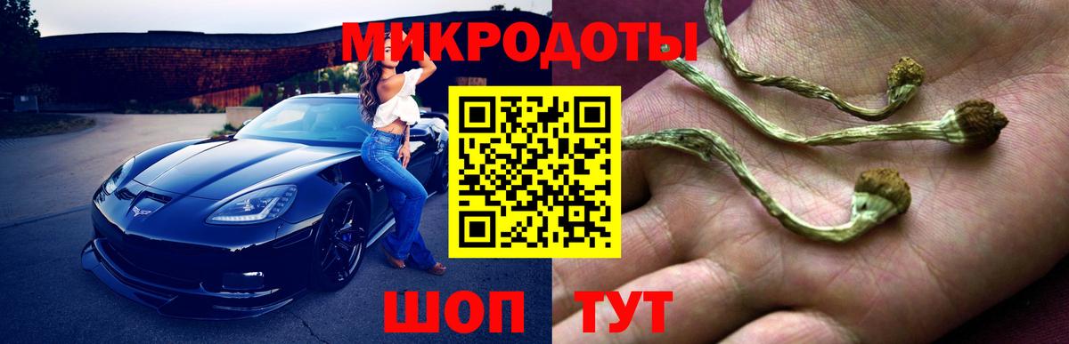Псилоцибиновые грибы ЛСД Новосибирск